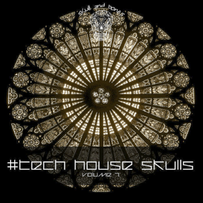 VA - Tech House Skulls Vol. 7 (2019)