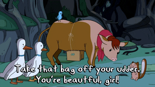 adventure-time-yo-put-that-bag-back-on.gif