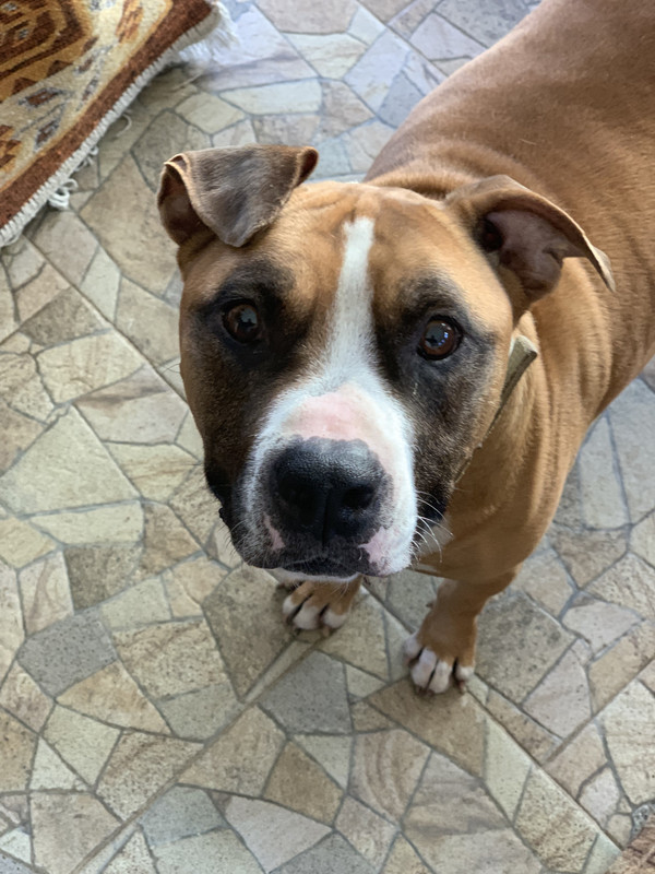 B22721A6-4790-4279-BEAA-E921A4C2FC53