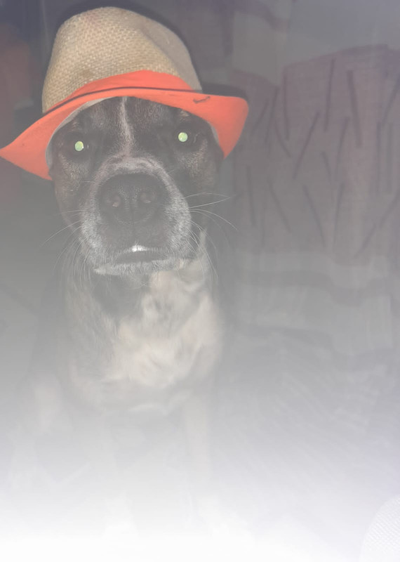 B0F56B29-EEB7-4FEC-893A-334855999B74