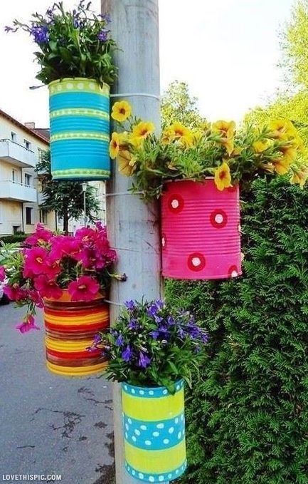 Flowersmulticans.jpg