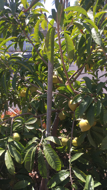 F2140F03-F587-4BE2-BFE1-EB2DC3CD90A3