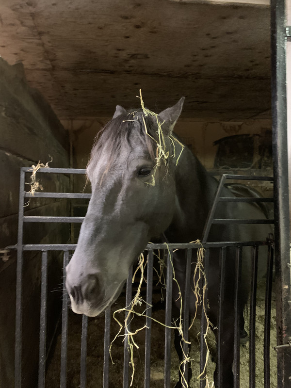 59691ACB-3905-450C-BE3E-D2D2BCDD0E2A