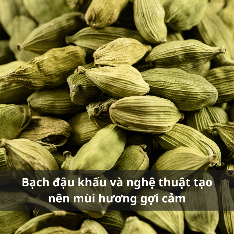 https://i.postimg.cc/sXy0814X/Nuoc-hoa-huong-bach-dau-khau.png