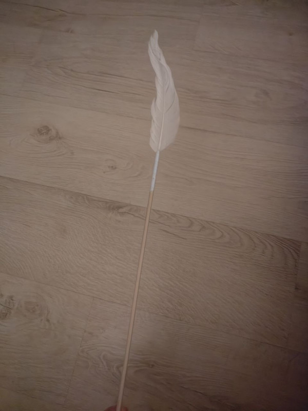 photo 2026 01 06 17 58 47