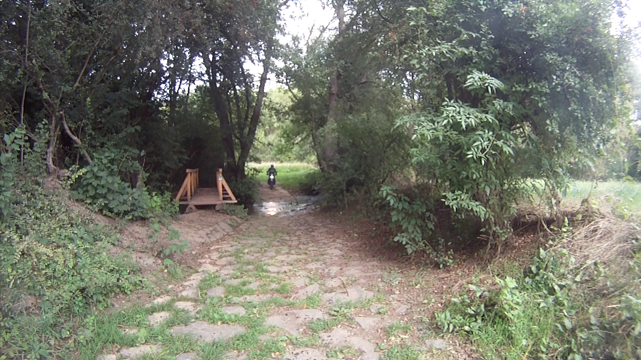 vlcsnap-2020-08-27-18h10m34s461