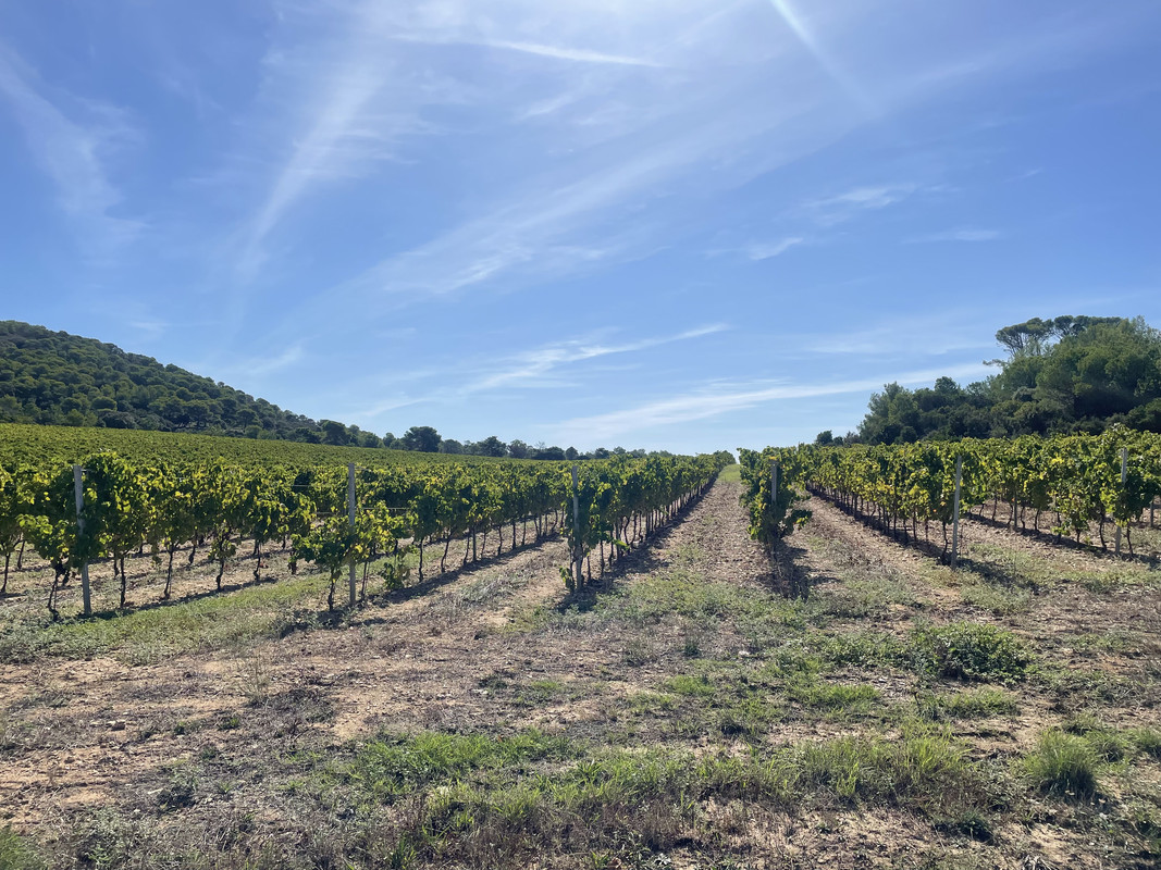 E3B7982F-A3DF-4632-8C43-F44FF2EBB607