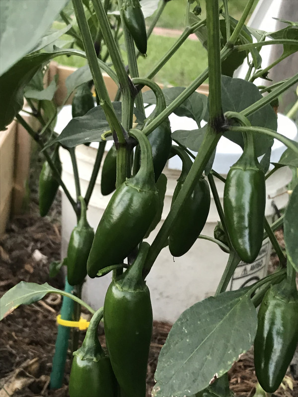 0B822DA2-0A4A-4588-8603-2C41CC4090F8