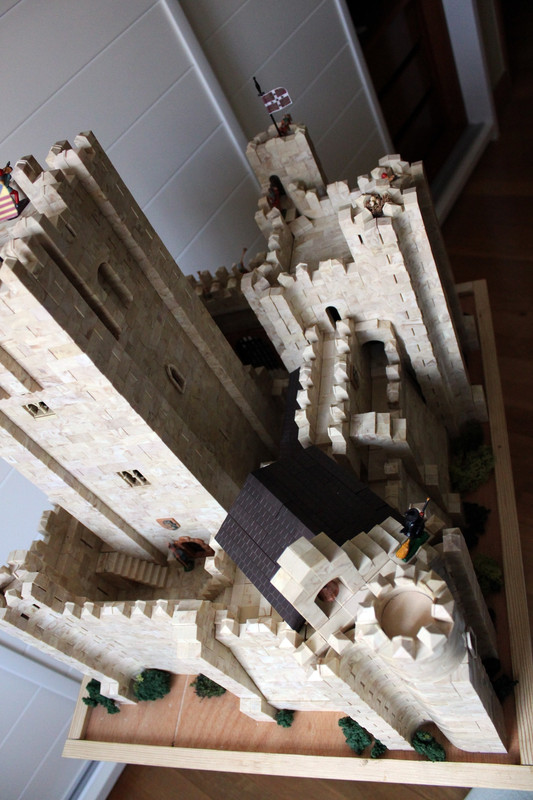 Castillo-de-Concavarniadetall008