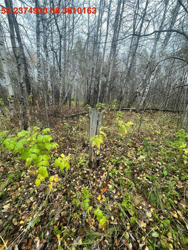 7dcc5bd27dfe40119c86b99183cd736f