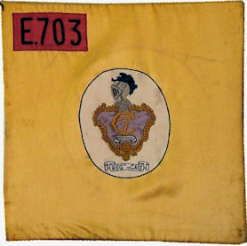 CCav703