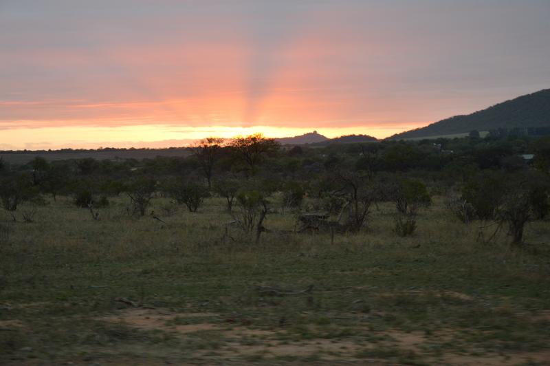 DÍA 8:  KRUGER (Berg-en-Dal) - Sudáfrica y Seychelles 2018 -  Una Honeymoon llena de vida (2)