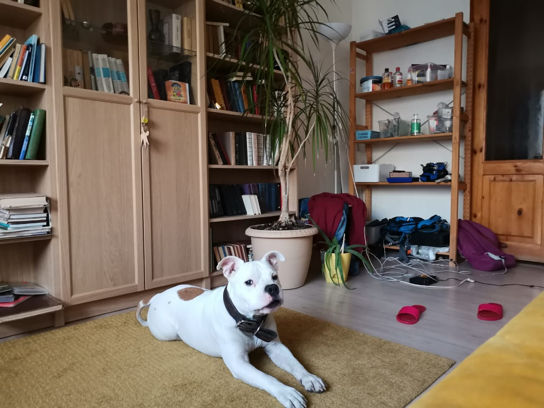 5D29B9D4-60D2-4477-8EC1-1FDC3BA7054E