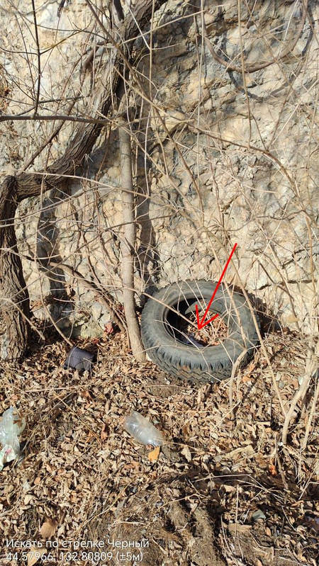 44 57966 132 80809 ( 5м) 13122025 113148