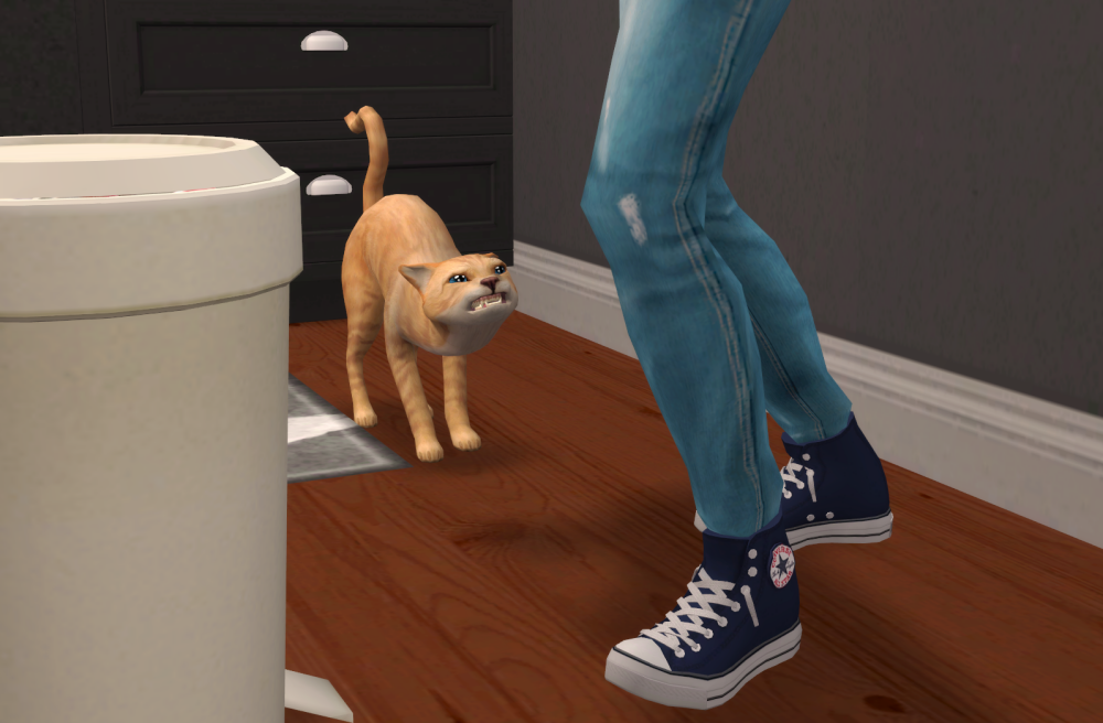 Sims2-EP9-RPC-2021-08-14-17-52-46-17