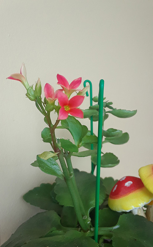 [Image: 20220623-101255.jpg]
