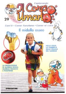Esplorando il corpo umano N. 29 - Il midollo osseo