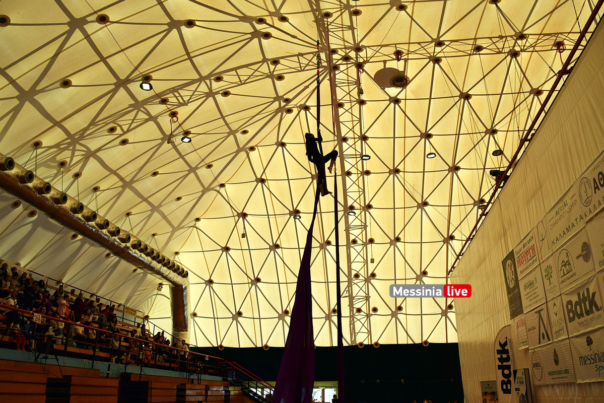 ΑΕΡΙΑΛDSC_0839