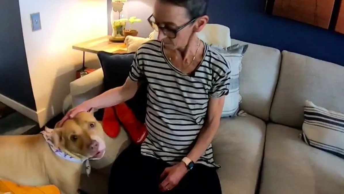 Mujer con cáncer terminal busca dueño para su perrita en Estados Unidos