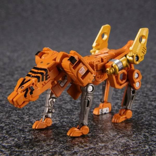 20031607_1405876342832104_1951720740862553784_n