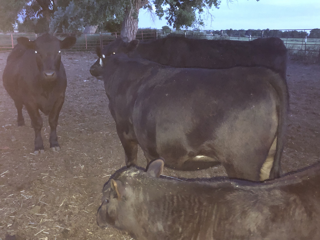 1D6D02AB-A42E-4E1B-B638-1BAB635AB060