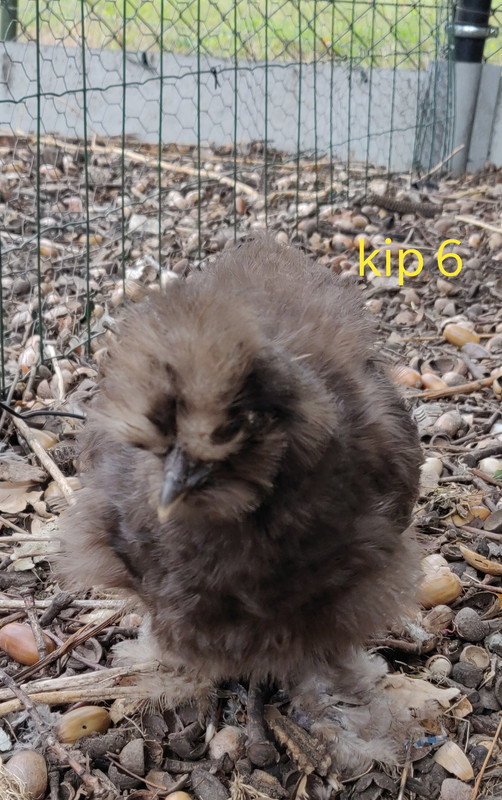 IMG_20190923_144320__01__01