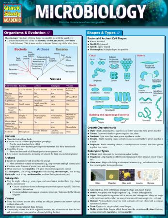 Microbiology, 2nd Edition (Quick Study Academic)