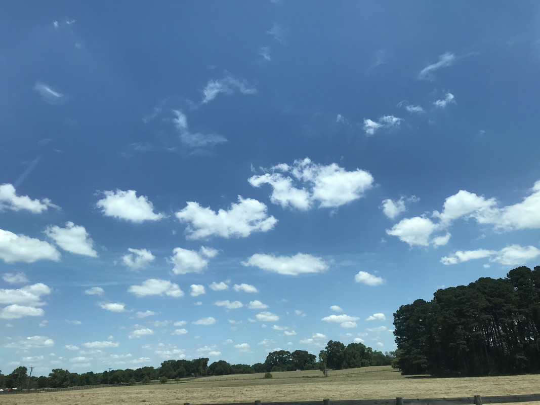 [Image: CDD6-E86-E-CA2-F-4452-9152-756-D6976-A7-DC.jpg]