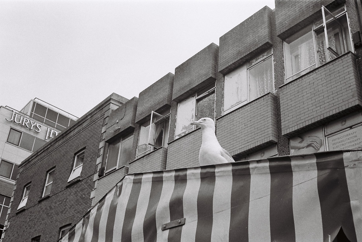 13C3F4F7-4F7A-42AF-A404-14FD83D35960