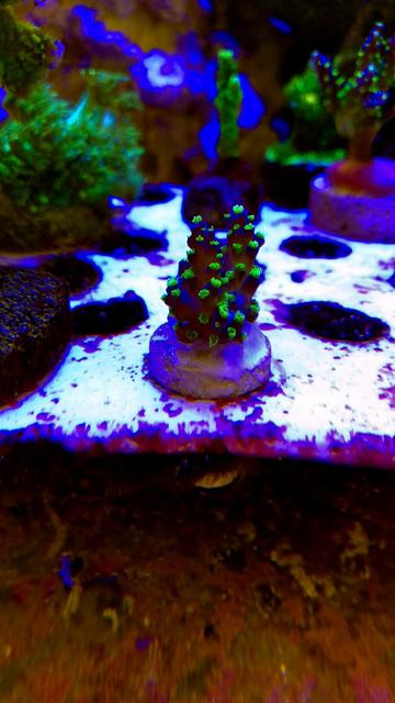 BF9D87A1-5320-40F9-8ADF-A6261A39A068