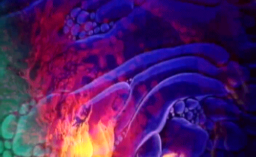 air.gif