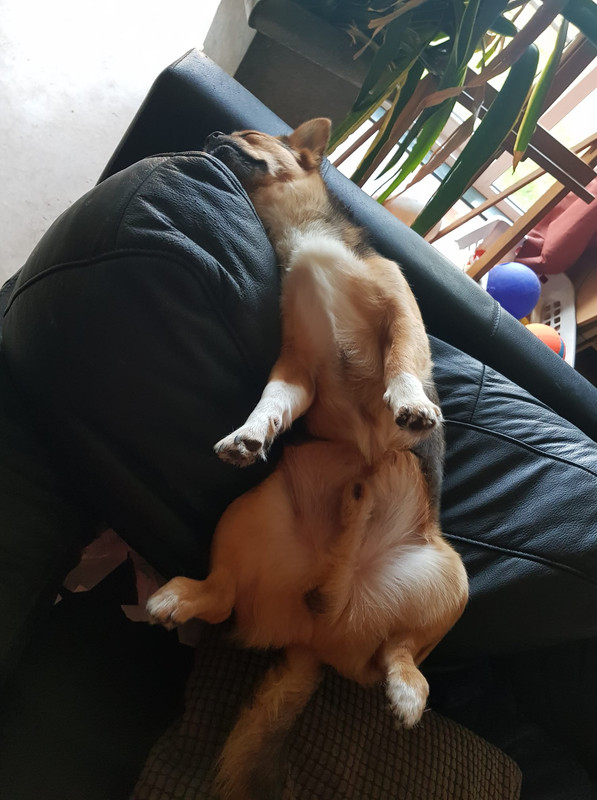 217454200_4144277135649560_4317337927390337439_n