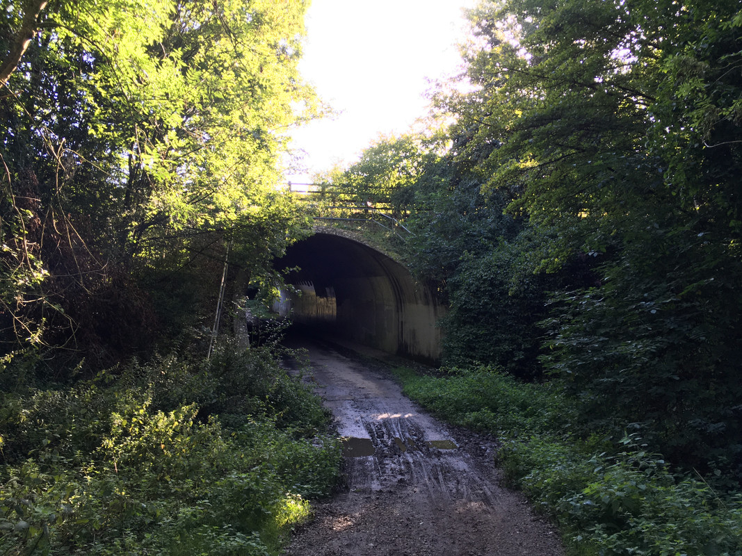 5410CE96-1EE0-4656-B5FC-52F83FB55CD3