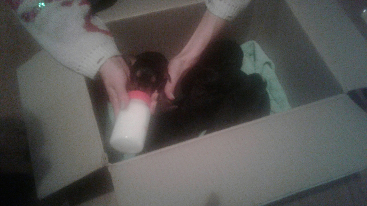 135CFCE2-7D13-4738-9C46-D5AEB489C3BD