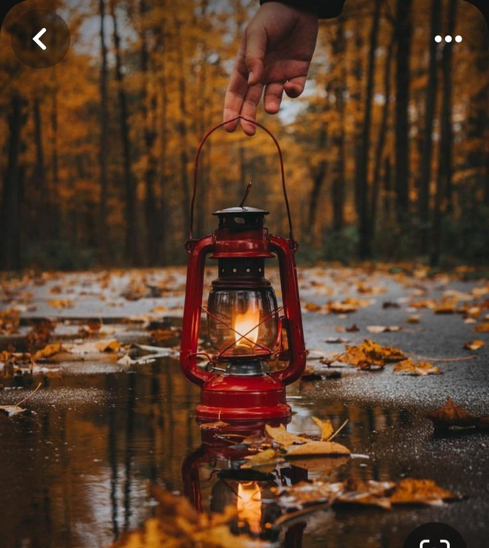 Screenshot_20231219_230611_Pinterest