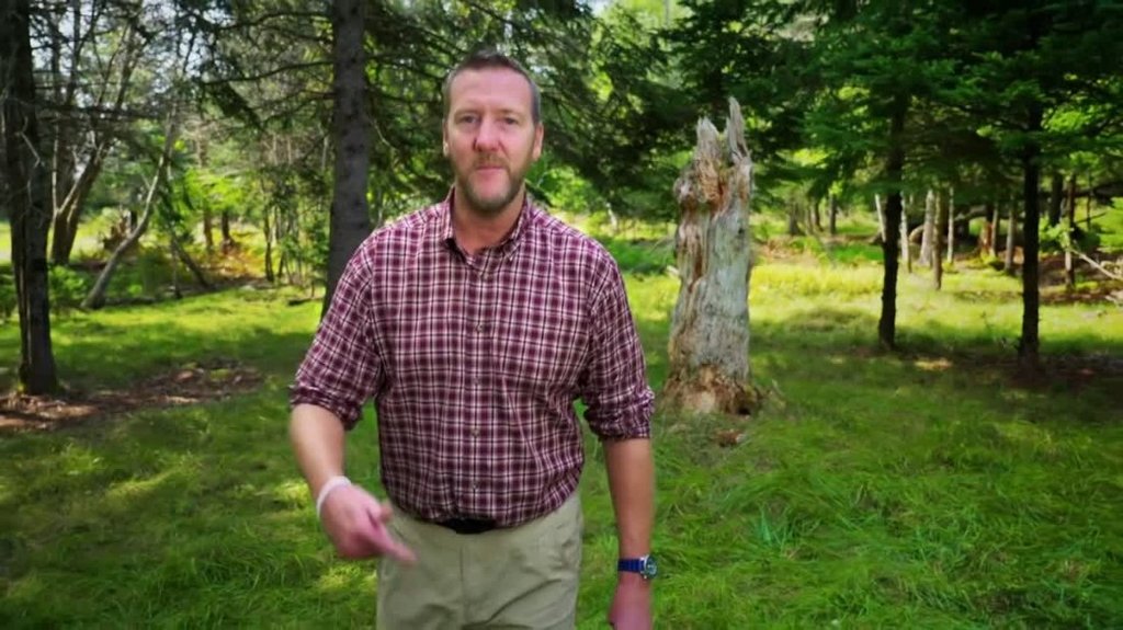 [Image: g5iybpsy9y20.jpg]