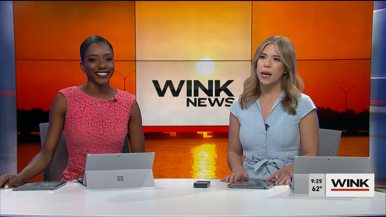 01.28 - 14.00.00 - WINK News at 9 00AM  ᴺᵉʷ. Morning news.ts_snapshot_00.31.24.980