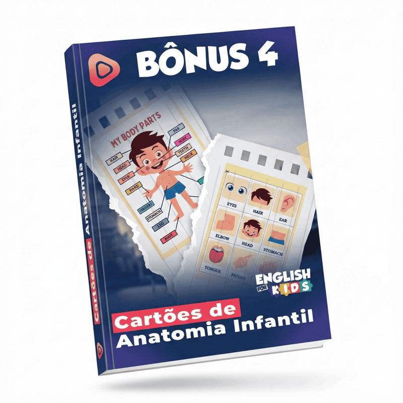 Cartões de Anatomia