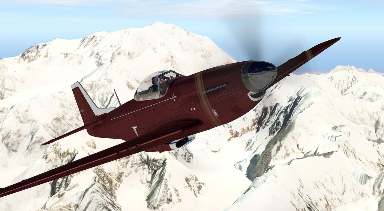 P-51D-31.jpg