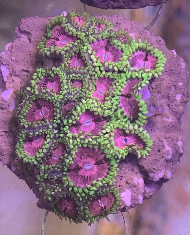 0B077473-F79D-4533-8AC2-2B32A6933B36