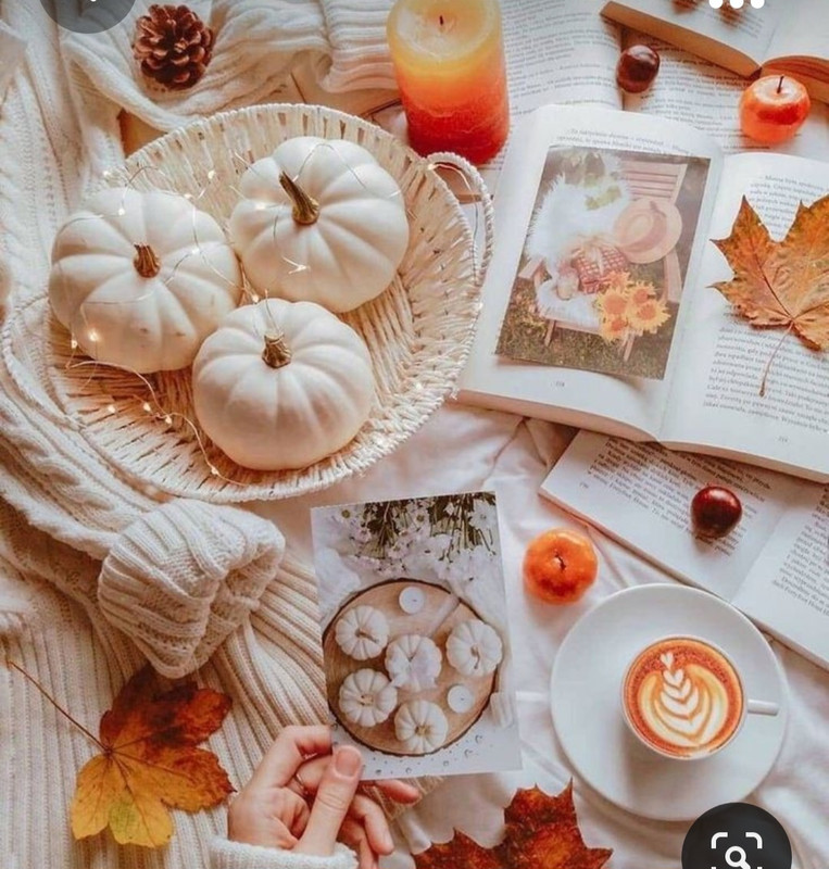 Screenshot_20231015_195717_Pinterest