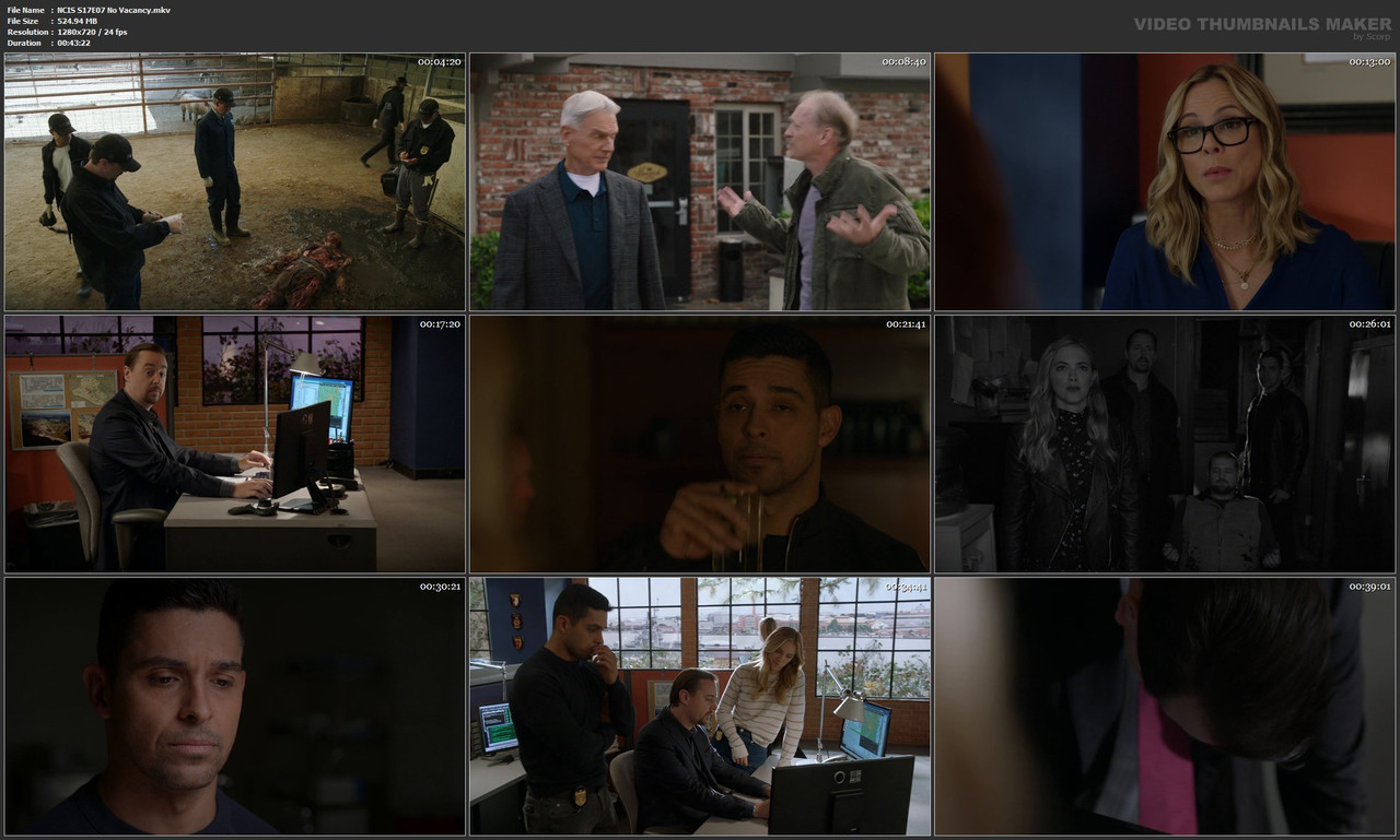 NCIS S17E07 No Vacancy.mkv