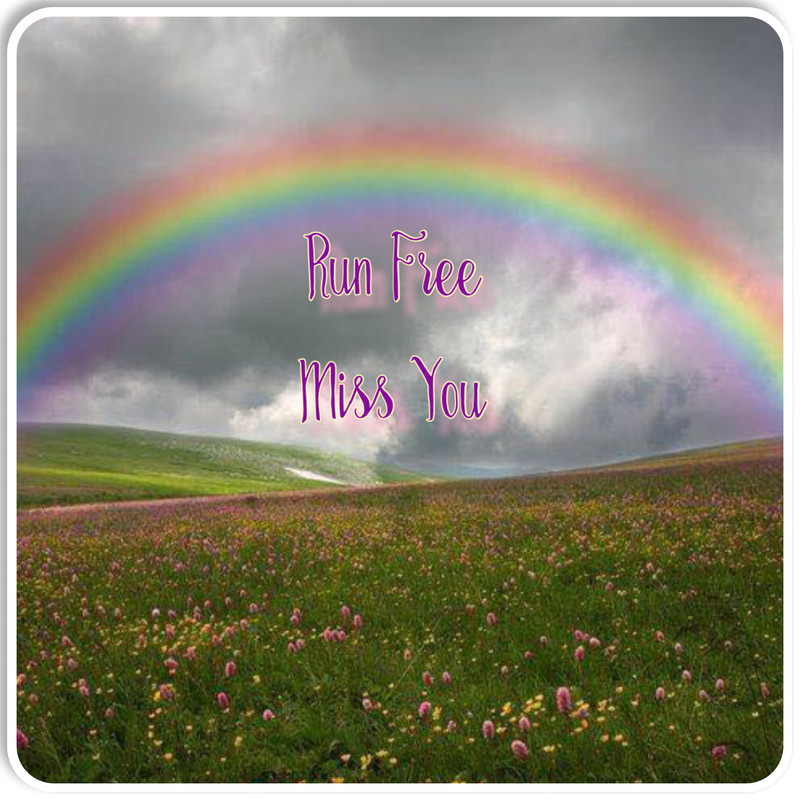 588F1B7C-F8D4-4993-9261-BF92670E4706