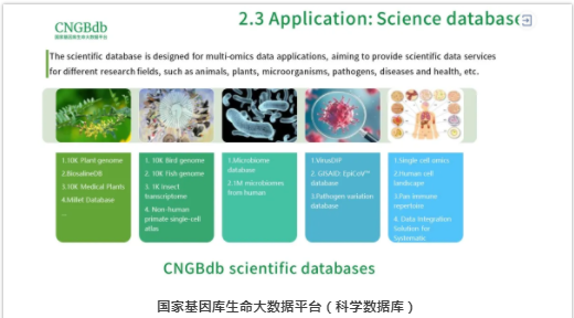 CNGBdb亮相第十三届生物信息学和生物医学技术国际会议-5.png