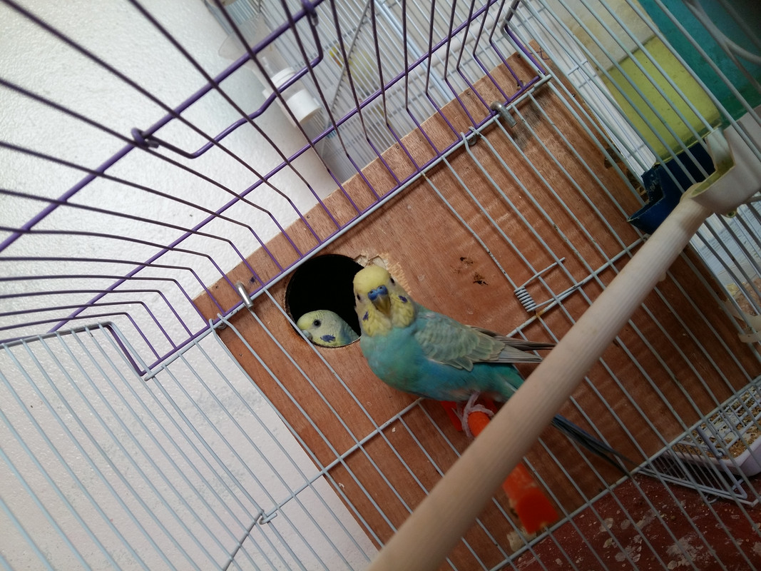20180506_153402