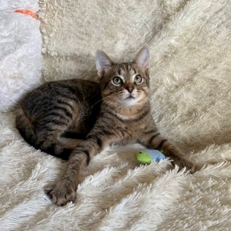 B6C7A15A-8A59-4111-BFBB-2FE3E0128D20