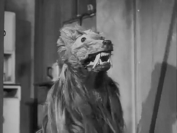 KEN-CURTIS-KILLER-SHREWS-2-A-FOTOR.jpg