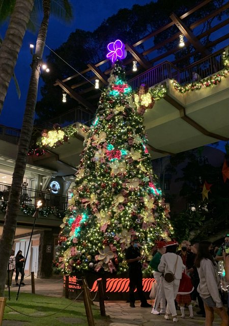 [Image: EF792-C23-0560-4-C43-A63-A-1-B44-D379338-B.jpg]