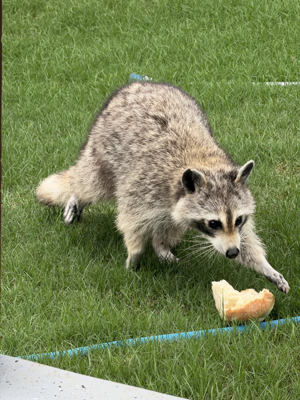 IMG 3922