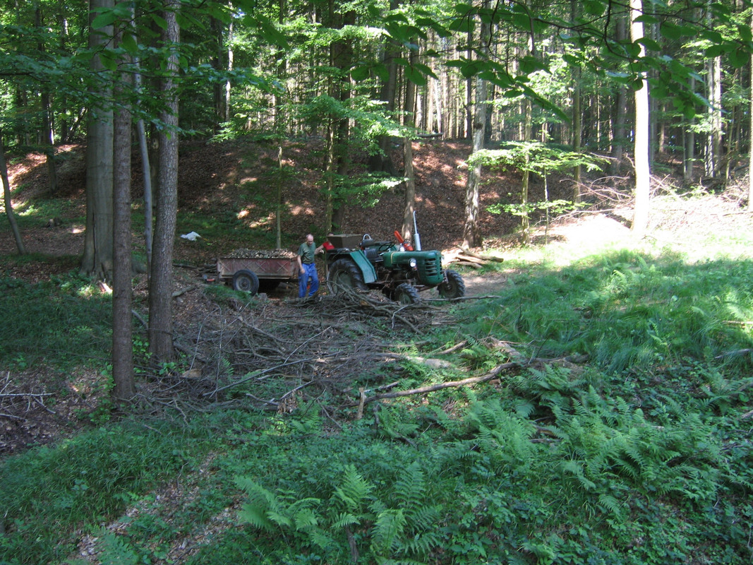 IMG 3293 — Postimages